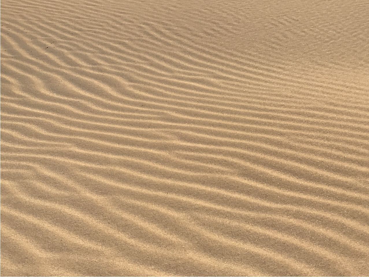Inspirés par ce qui nous entoure